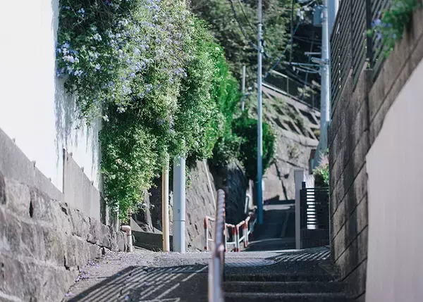 「【逗子】路地裏の築50年古民家を、オーシャンビューの絶景自邸＋カフェにリノベ。建築家夫妻が語る”豊かな二拠点生活”の始め方　「南町テラス」」の画像