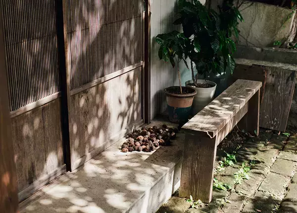 「【逗子】路地裏の築50年古民家を、オーシャンビューの絶景自邸＋カフェにリノベ。建築家夫妻が語る”豊かな二拠点生活”の始め方　「南町テラス」」の画像