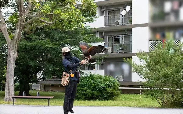 「日本初！2階建て3Dプリンター住宅 |団地の害鳥を鷹が撃退 | 英語ゼロから海外移住をかなえた秘訣【6月人気記事まとめ】」の画像