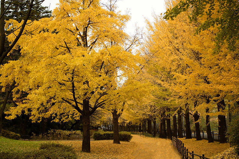 品川駅まで電車で30分以内、中古マンション価格相場が安い駅ランキング　2022年版