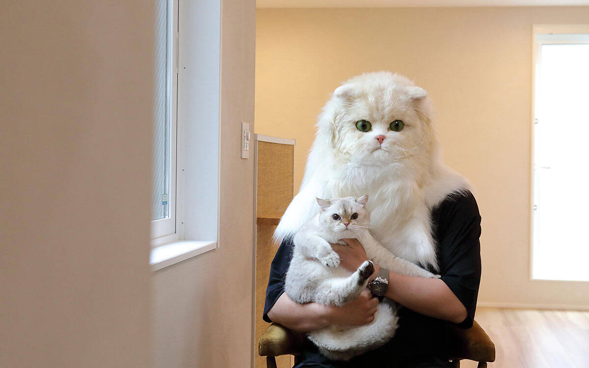 究極の「猫ファースト」家づくり | パリの美術修復家が作る“侘び寂び”空間 | 2026年「住みたい街ランキング」発表！【2月人気記事まとめ】