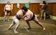 相撲部屋付き賃貸を押尾川親方がプロデュース。朝稽古を見学、ちゃんこを力士と一緒に楽しめる生活って?　墨田区「クリエイティブハウス文花」