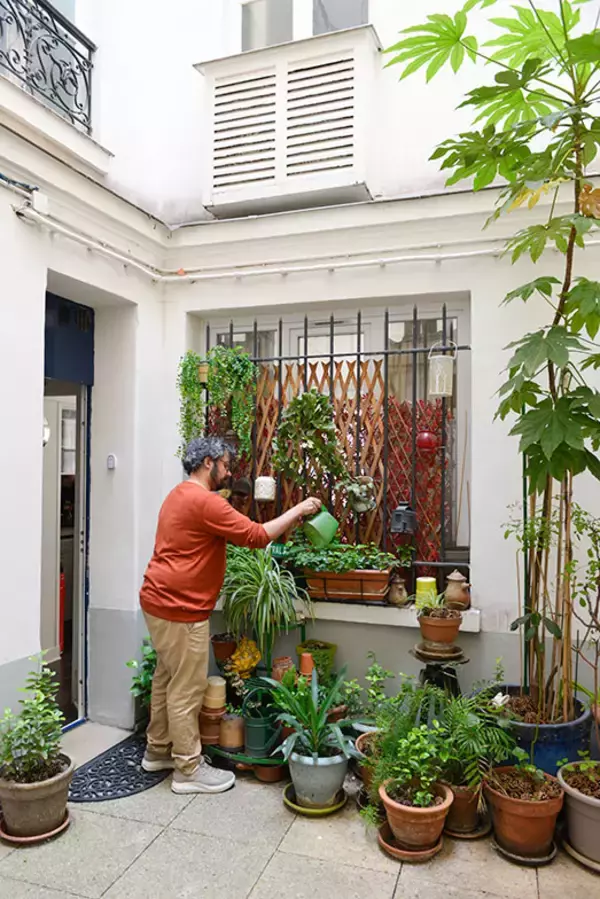 「パリの暮らしとインテリア[15] 芸術を愛するパリジャンが猫と暮らす、アートと植物いっぱいの70平米アパルトマン」の画像
