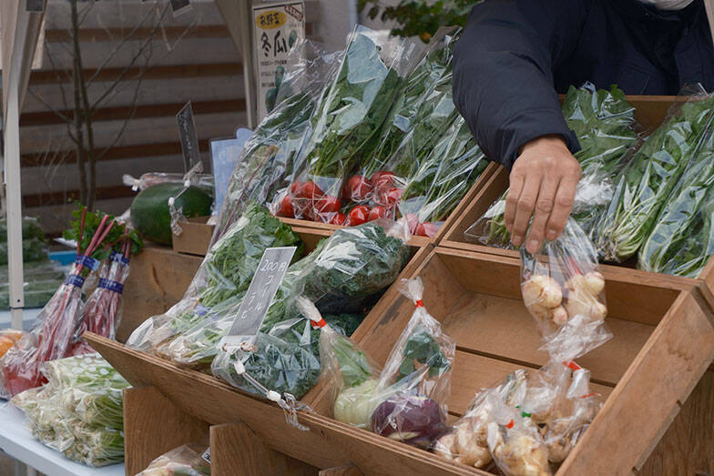 相続した都内の屋敷林、マンションにせず”村”にした13代目地主。お店やアトリエを持てる賃貸で守りたかった風景と人付き合いとは　東京・練馬区「種音」