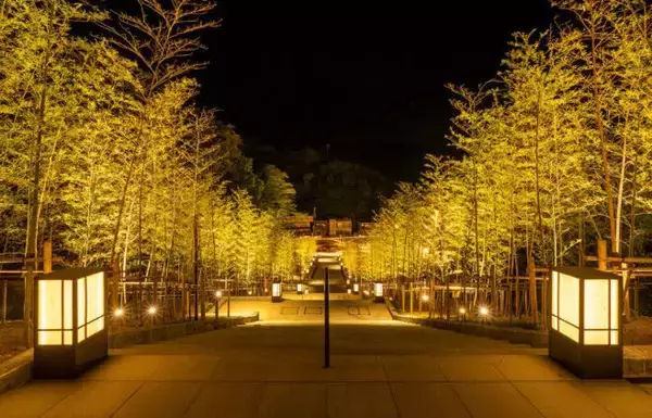 「更地だらけの温泉街が再生！ 移住者や二拠点生活者が集まる理由とは【旅と関係人口１／長門湯本温泉（山口県長門市）】」の画像