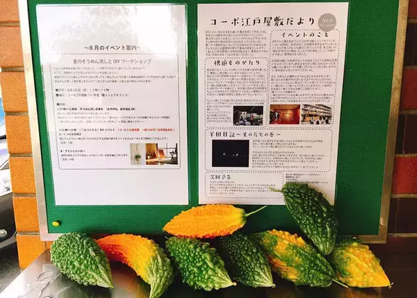 「賃貸大家ユニット・半田兄弟、老朽化アパート再生のカギは「家庭菜園とDIY」！ 入居率も30％アップまでの軌跡　福岡県久留米市」の画像