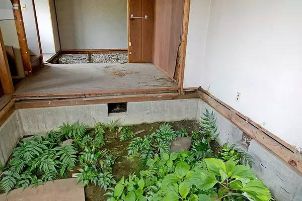 「”京都いちファンキーな不動産屋”、昭和の長屋集落で「むらづくり」。13軒の空き家再生がユニークすぎる　「A HAMLET」亀岡」の画像