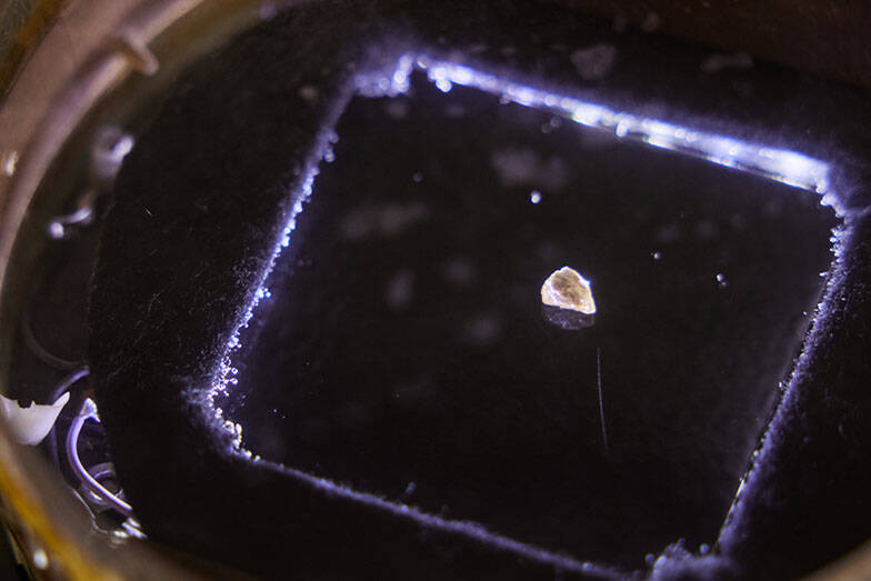 一度は人口ゼロになった福島の街で生きる3人の”今”の物語。震災の原発被災15年、飯舘・浪江・大熊で暮らすということ