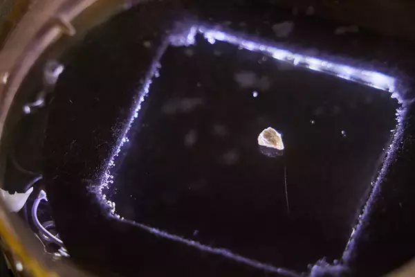 「一度は人口ゼロになった福島の街で生きる3人の”今”の物語。震災の原発被災15年、飯舘・浪江・大熊で暮らすということ」の画像