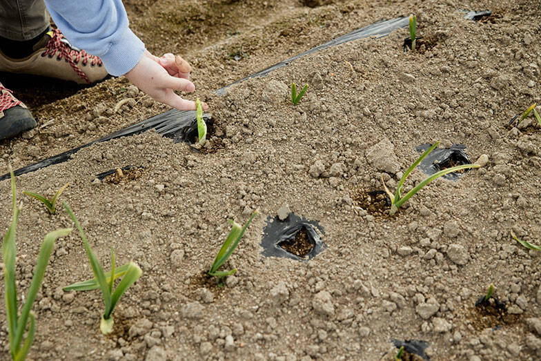 一度は人口ゼロになった福島の街で生きる3人の”今”の物語。震災の原発被災15年、飯舘・浪江・大熊で暮らすということ