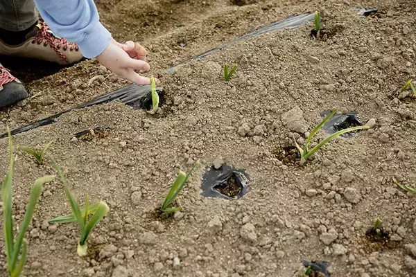 「一度は人口ゼロになった福島の街で生きる3人の”今”の物語。震災の原発被災15年、飯舘・浪江・大熊で暮らすということ」の画像