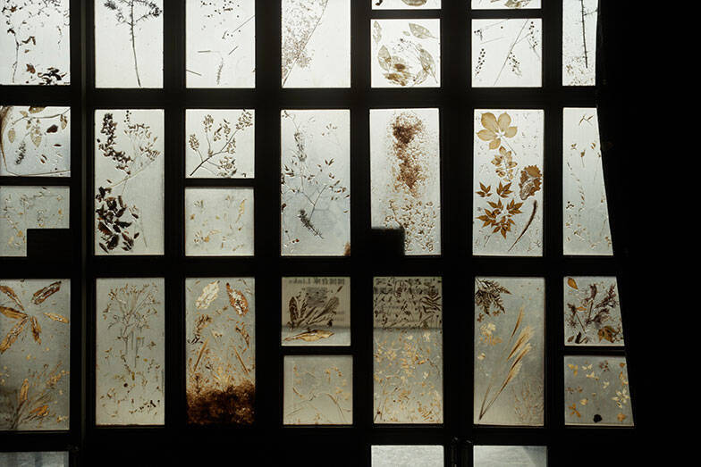 一度は人口ゼロになった福島の街で生きる3人の”今”の物語。震災の原発被災15年、飯舘・浪江・大熊で暮らすということ