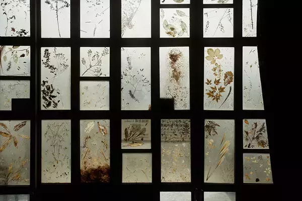 「一度は人口ゼロになった福島の街で生きる3人の”今”の物語。震災の原発被災15年、飯舘・浪江・大熊で暮らすということ」の画像