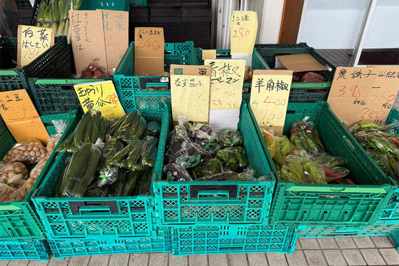 【芝園団地】住人6割が外国人。自治会役員＆住人に聞いた、ゴミ出し・騒音などトラブル多発を乗り越えた”共生”の工夫　埼玉県川口市