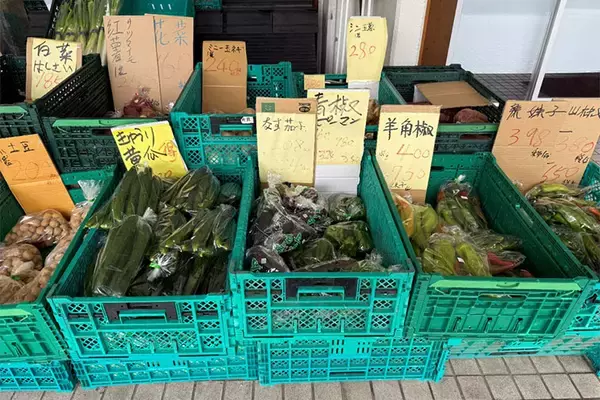 「【芝園団地】住人6割が外国人。自治会役員＆住人に聞いた、ゴミ出し・騒音などトラブル多発を乗り越えた”共生”の工夫　埼玉県川口市」の画像