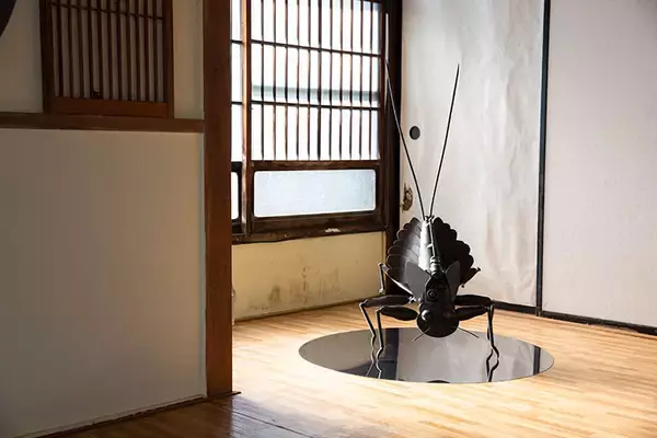 「「八王子芸術祭2025」9割廃業の織物の街、使われなくなった工場跡を舞台に10年かけて記憶を次世代につなぐ挑戦」の画像