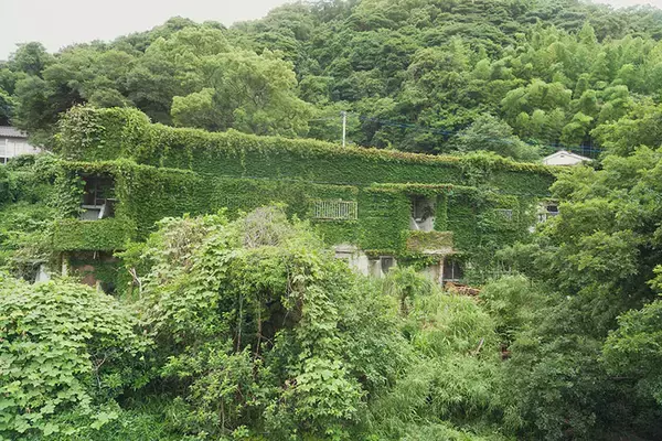 「【築74年・家賃1万円の団地】占い師・探偵・ブックカフェ店主…大家負担でDIYし放題、部屋も住人もクセが強すぎる！ 福岡「門司港1950団地」渋沢プロジェクト」の画像