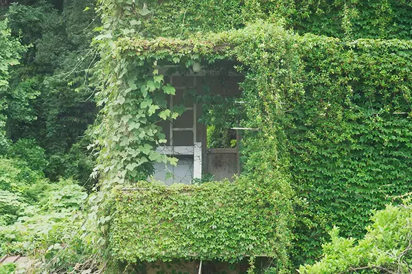 「【築74年・家賃1万円の団地】占い師・探偵・ブックカフェ店主…大家負担でDIYし放題、部屋も住人もクセが強すぎる！ 福岡「門司港1950団地」渋沢プロジェクト」の画像