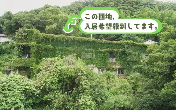 「【築74年・家賃1万円の団地】占い師・探偵・ブックカフェ店主…大家負担でDIYし放題、部屋も住人もクセが強すぎる！ 福岡「門司港1950団地」渋沢プロジェクト」の画像