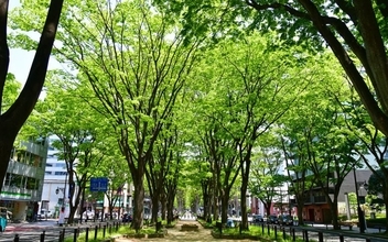 宮城県「住み続けたい街ランキング2026年版」自治体1位は仙台市若林区！ 駅1位は勾当台公園、子育て1位は利府町＆北四番丁が選ばれた理由