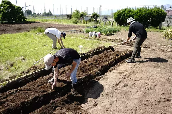 「長野の”移住者限定”団地が素敵！ カーシェア、コワーキング無料など移住の不安を払拭、その後の市内定住率も約9割　「ホシノマチ団地」佐久市」の画像