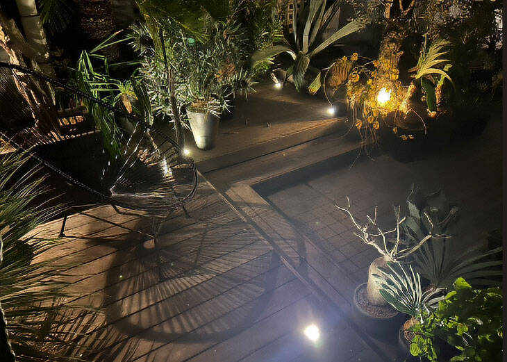 40平米ルーバル付きマンション購入が”植物沼”のはじまりだった。塊根植物、アガベ、ビカクシダなど「珍奇植物」が埋め尽くす驚愕グリーンライフ