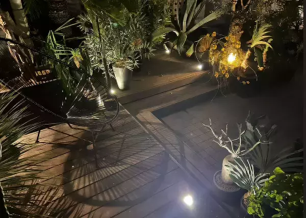 「40平米ルーバル付きマンション購入が”植物沼”のはじまりだった。塊根植物、アガベ、ビカクシダなど「珍奇植物」が埋め尽くす驚愕グリーンライフ」の画像