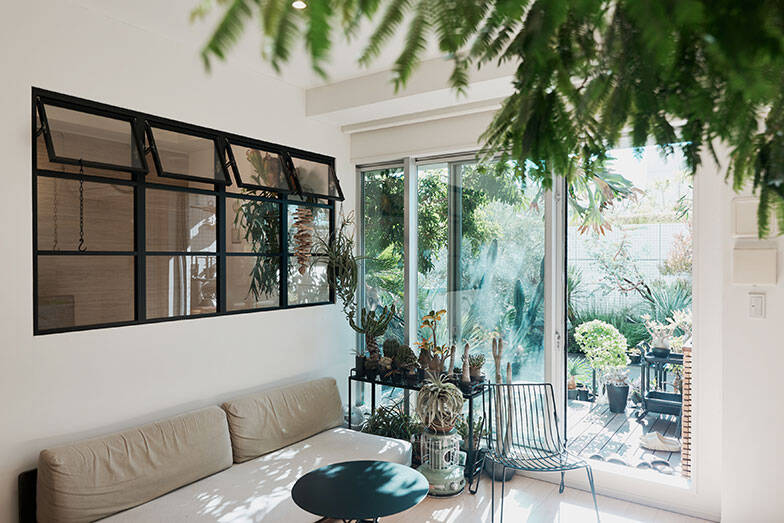 40平米ルーバル付きマンション購入が”植物沼”のはじまりだった。塊根植物、アガベ、ビカクシダなど「珍奇植物」が埋め尽くす驚愕グリーンライフ