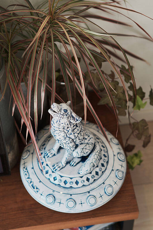 40平米ルーバル付きマンション購入が”植物沼”のはじまりだった。塊根植物、アガベ、ビカクシダなど「珍奇植物」が埋め尽くす驚愕グリーンライフ