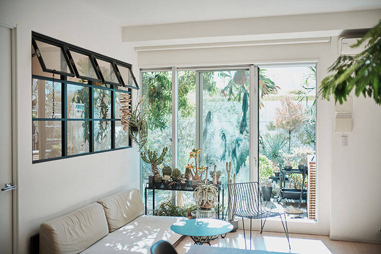 40平米ルーバル付きマンション購入が”植物沼”のはじまりだった。塊根植物、アガベ、ビカクシダなど「珍奇植物」が埋め尽くす驚愕グリーンライフ