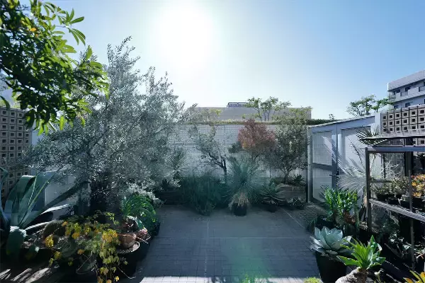 「40平米ルーバル付きマンション購入が”植物沼”のはじまりだった。塊根植物、アガベ、ビカクシダなど「珍奇植物」が埋め尽くす驚愕グリーンライフ」の画像