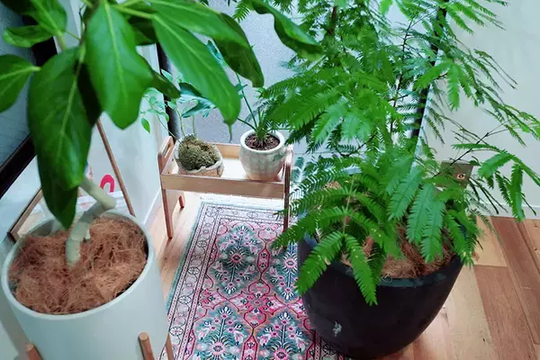 「広い家へ引越す、は古い？ 近所にもう1部屋借りる「近距離2拠点」という選択肢。8畳1Kがリノベで最高の仕事場に！ イラストレーター・てらいまきさんに聞く」の画像