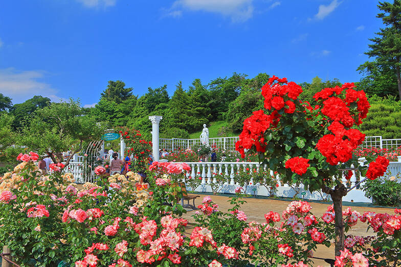新宿駅から電車で30分以内、家賃相場安い駅ランキング！ 2023年版
