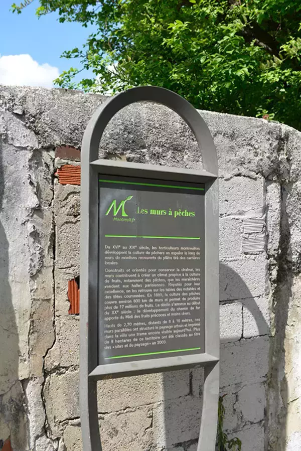 「パリ郊外の古い一戸建てを大改造しモロッコ空間に！緑いっぱいサンルームでガーデンパーティも　パリの暮らしとインテリア[15]」の画像