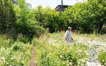 東京の個人宅、1000坪の「秘密の花園」をいつでも公開！ 親子3世代でつなぐ庭の日常にベーカリーカフェも　森田オープンガーデン・小平市