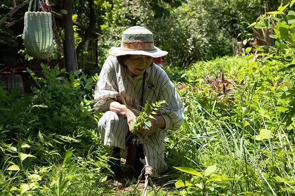 「東京の個人宅、1000坪の「秘密の花園」をいつでも公開！ 親子3世代でつなぐ庭の日常にベーカリーカフェも　森田オープンガーデン・小平市」の画像