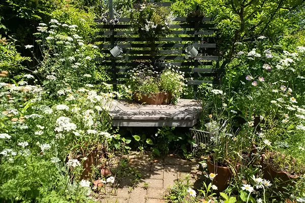 「東京の個人宅、1000坪の「秘密の花園」をいつでも公開！ 親子3世代でつなぐ庭の日常にベーカリーカフェも　森田オープンガーデン・小平市」の画像