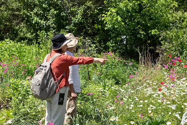 「東京の個人宅、1000坪の「秘密の花園」をいつでも公開！ 親子3世代でつなぐ庭の日常にベーカリーカフェも　森田オープンガーデン・小平市」の画像