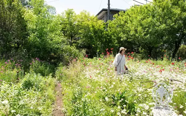 「東京の個人宅、1000坪の「秘密の花園」をいつでも公開！ 親子3世代でつなぐ庭の日常にベーカリーカフェも　森田オープンガーデン・小平市」の画像