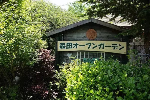 「東京の個人宅、1000坪の「秘密の花園」をいつでも公開！ 親子3世代でつなぐ庭の日常にベーカリーカフェも　森田オープンガーデン・小平市」の画像