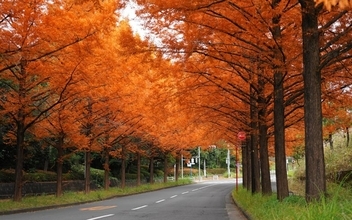 住民が選ぶ、子育てしやすい街「東京23区外」1位は唐木田！公園面積トップ、住民と作る冒険プレーパークや「孤立しない子育て」｜「SUUMO住み続けたい街ランキング2026 首都圏版」