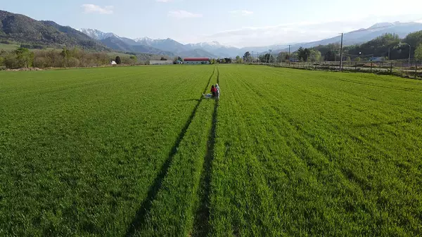 「農作業ひたすら8時間のボランティアに10・20代が国内外から殺到！ 住民より多い600人が関係人口に　北海道遠軽町白滝・えづらファーム」の画像