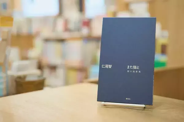 「「猫の本屋」中古一戸建てをリノベし8坪の自宅兼店舗に。”猫店員”が迎える住宅街のサードプレイス、保護猫活動も　三軒茶屋「Cat's Meow Books（キャッツミャウブックス）」」の画像