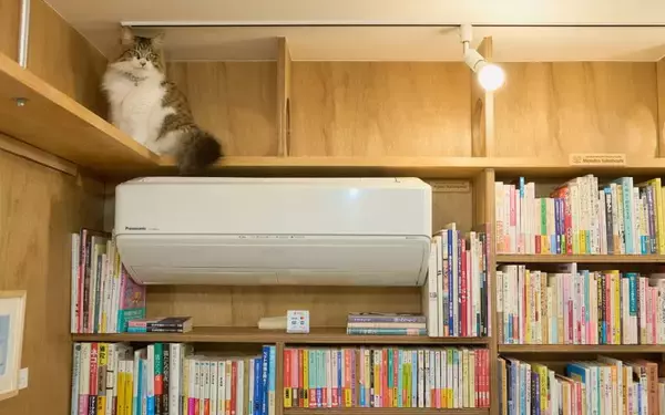 「「猫の本屋」中古一戸建てをリノベし8坪の自宅兼店舗に。”猫店員”が迎える住宅街のサードプレイス、保護猫活動も　三軒茶屋「Cat's Meow Books（キャッツミャウブックス）」」の画像