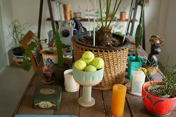 「タイならでは塀囲みのまち「ゲーテッド・コミュニティ」って？ クリエイターカップルがリノベ＆増築したおしゃれなおうちにおじゃまします　」の画像