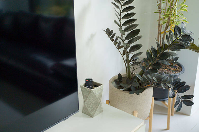 タイならでは塀囲みのまち「ゲーテッド・コミュニティ」って？ クリエイターカップルがリノベ＆増築したおしゃれなおうちにおじゃまします　