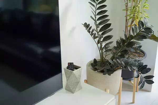 「タイならでは塀囲みのまち「ゲーテッド・コミュニティ」って？ クリエイターカップルがリノベ＆増築したおしゃれなおうちにおじゃまします　」の画像