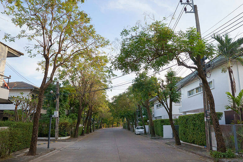 タイならでは塀囲みのまち「ゲーテッド・コミュニティ」って？ クリエイターカップルがリノベ＆増築したおしゃれなおうちにおじゃまします　