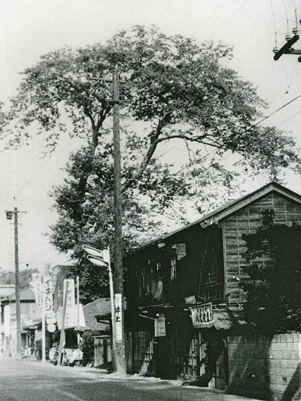 調布市の小学生は電柱広告に夢中?! 通学路に「難読漢字クイズ」など駐車場オーナーが仕掛ける地域貢献アイデアがおもしろすぎる　