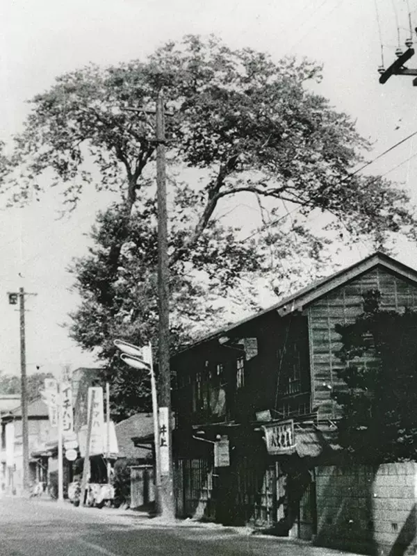 「調布市の小学生は電柱広告に夢中?! 通学路に「難読漢字クイズ」など駐車場オーナーが仕掛ける地域貢献アイデアがおもしろすぎる　」の画像